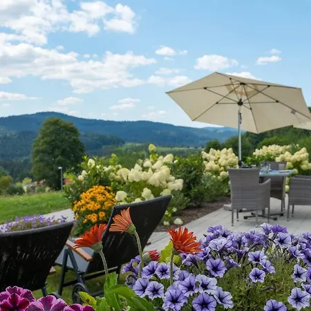 Schiltenstein Apartment