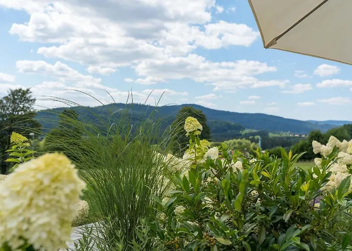 Schiltenstein